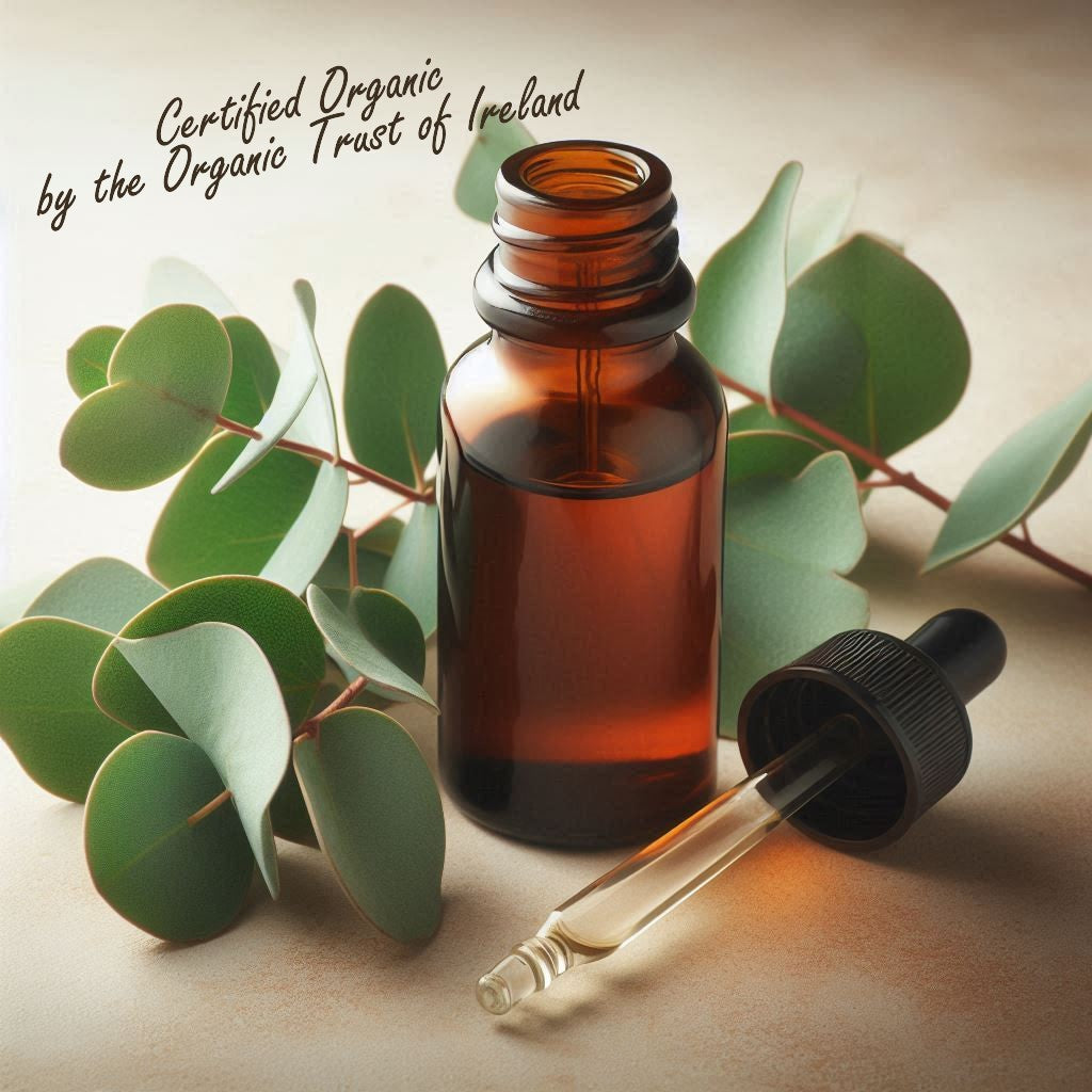 Eucalyptus Globulus Oil Organic