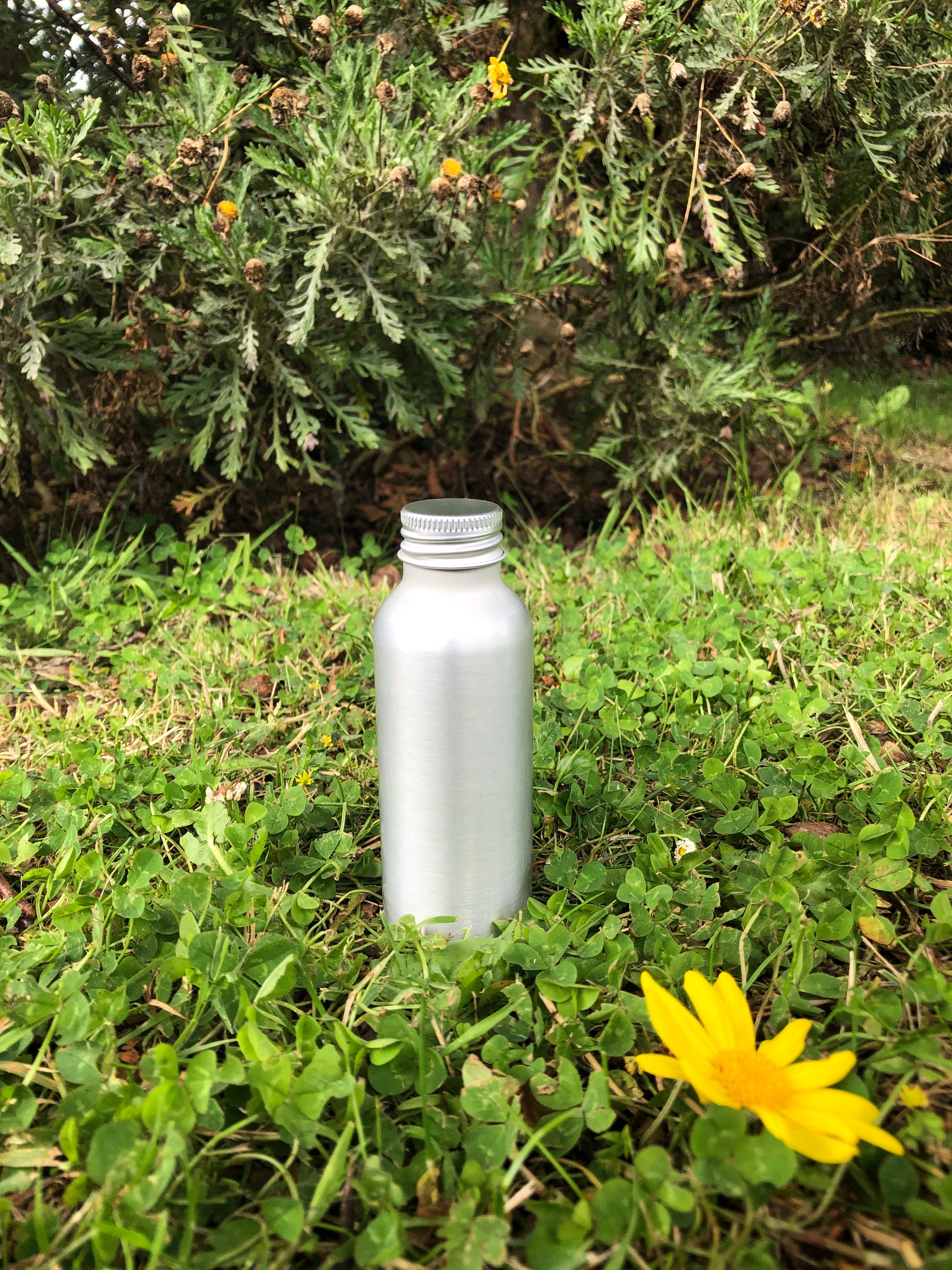 100ml Aluminium bottle