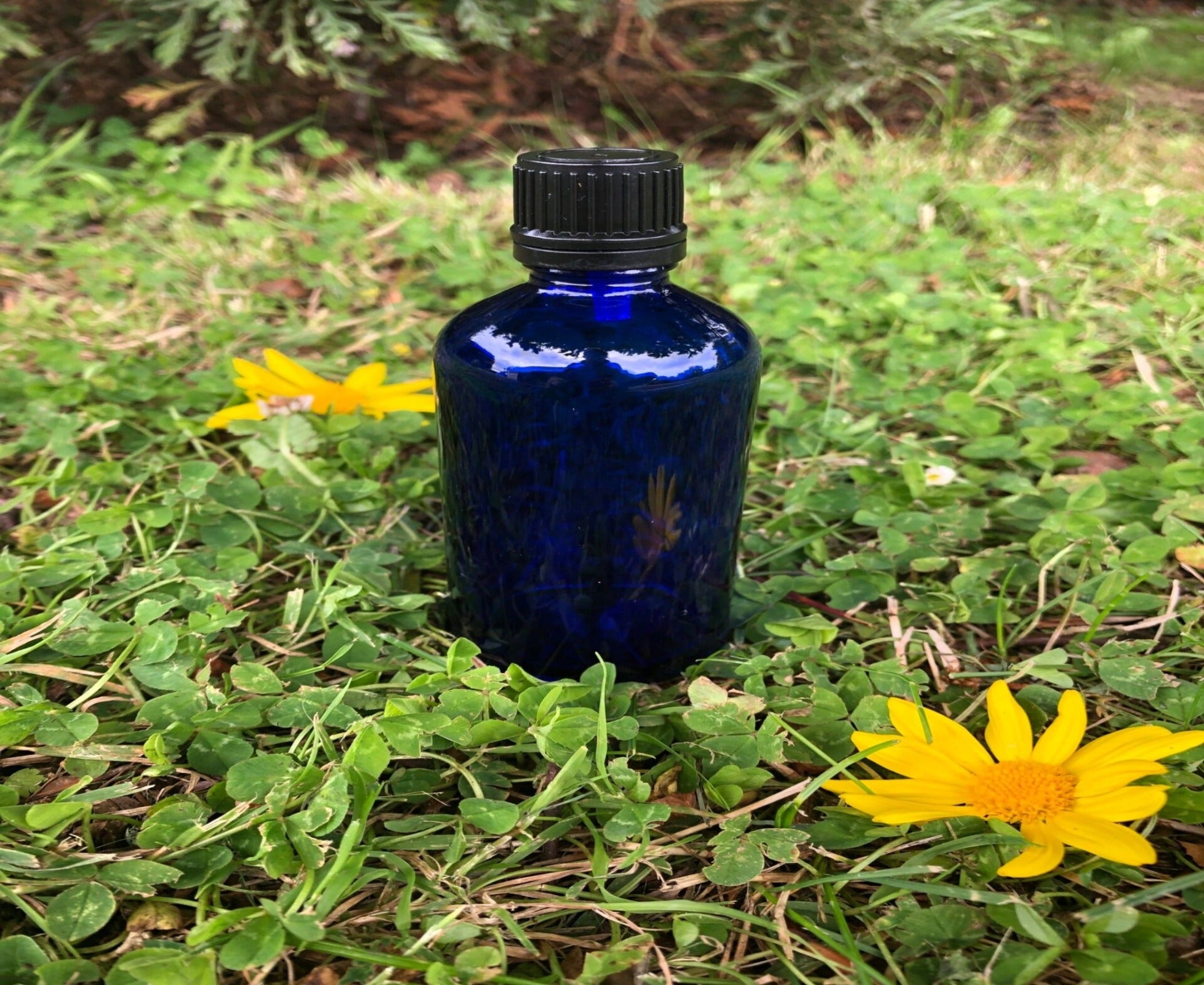 Blue shop aromatherapy bottles