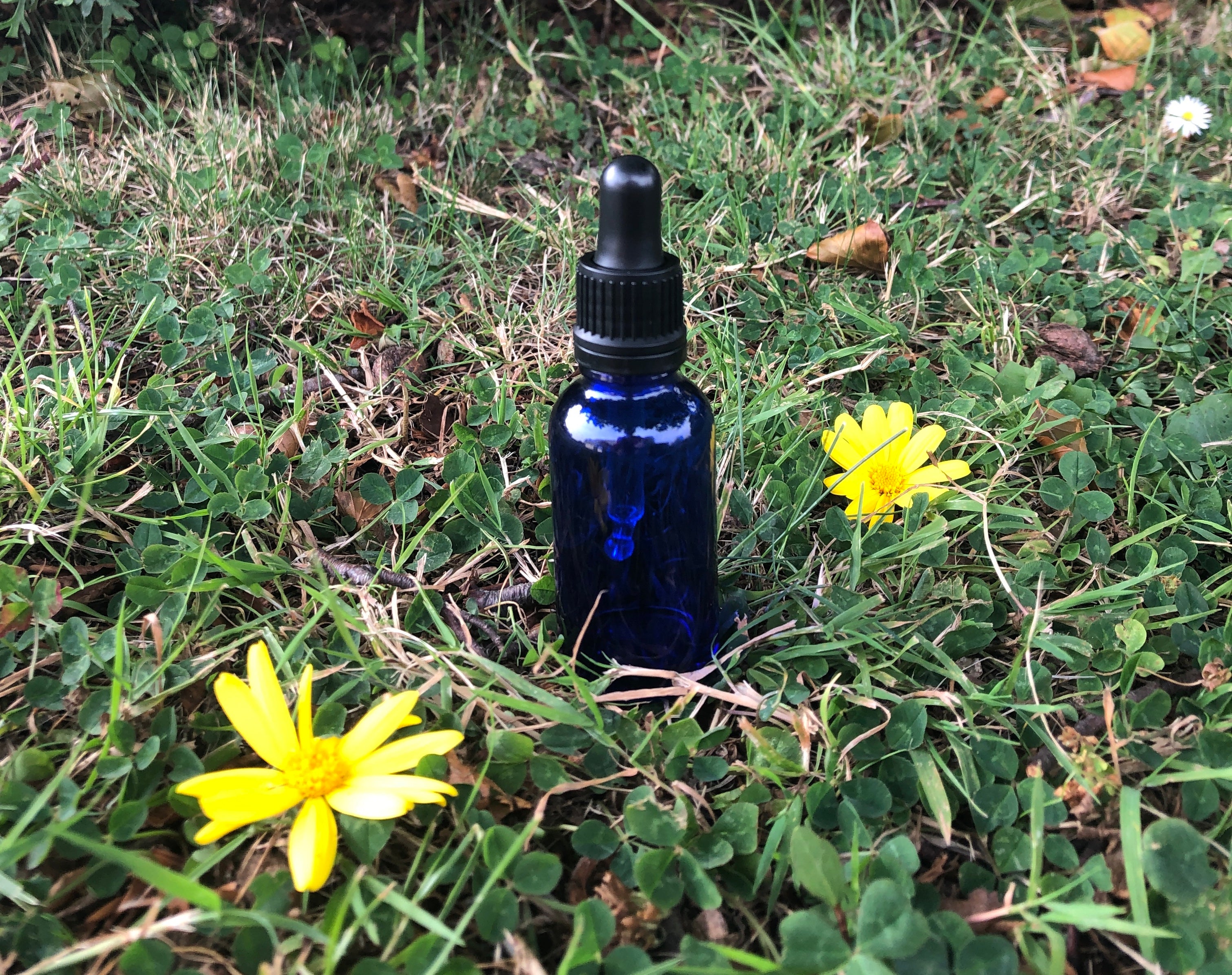 Blue Glass Bottles- 10ml