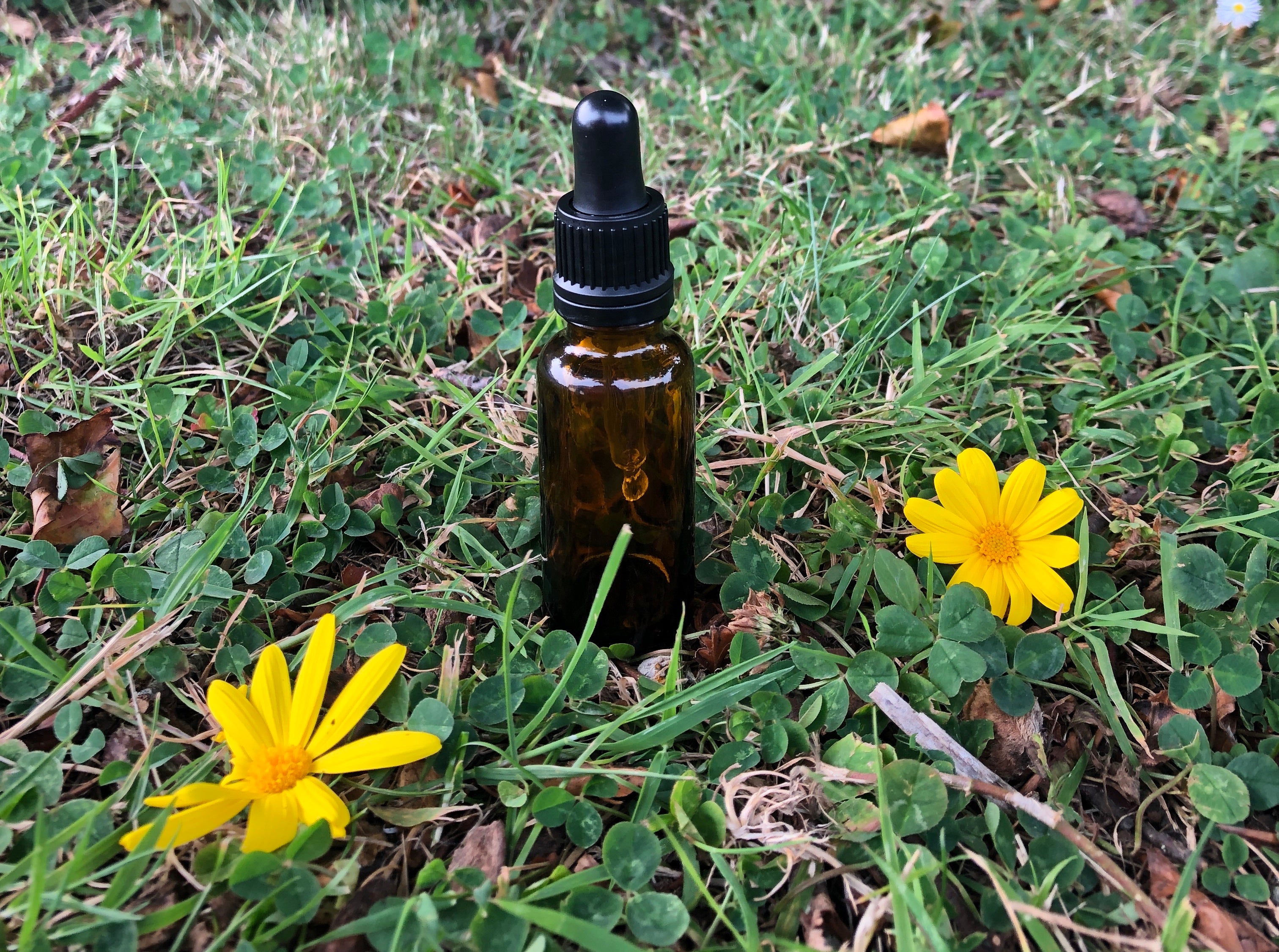 10ml Amber Glass Bottle (GL18)