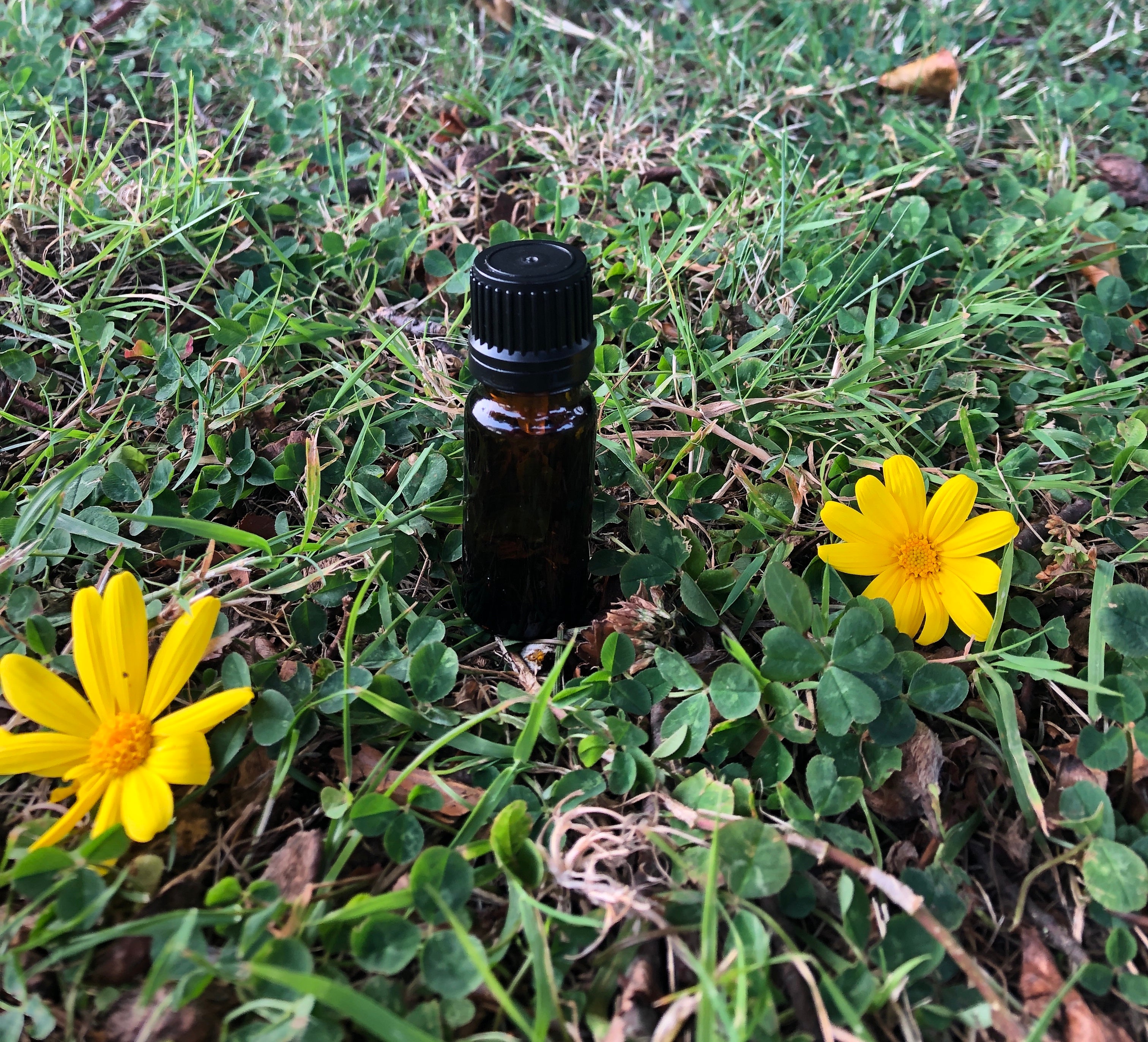 10ml Amber Glass Bottle (GL18)