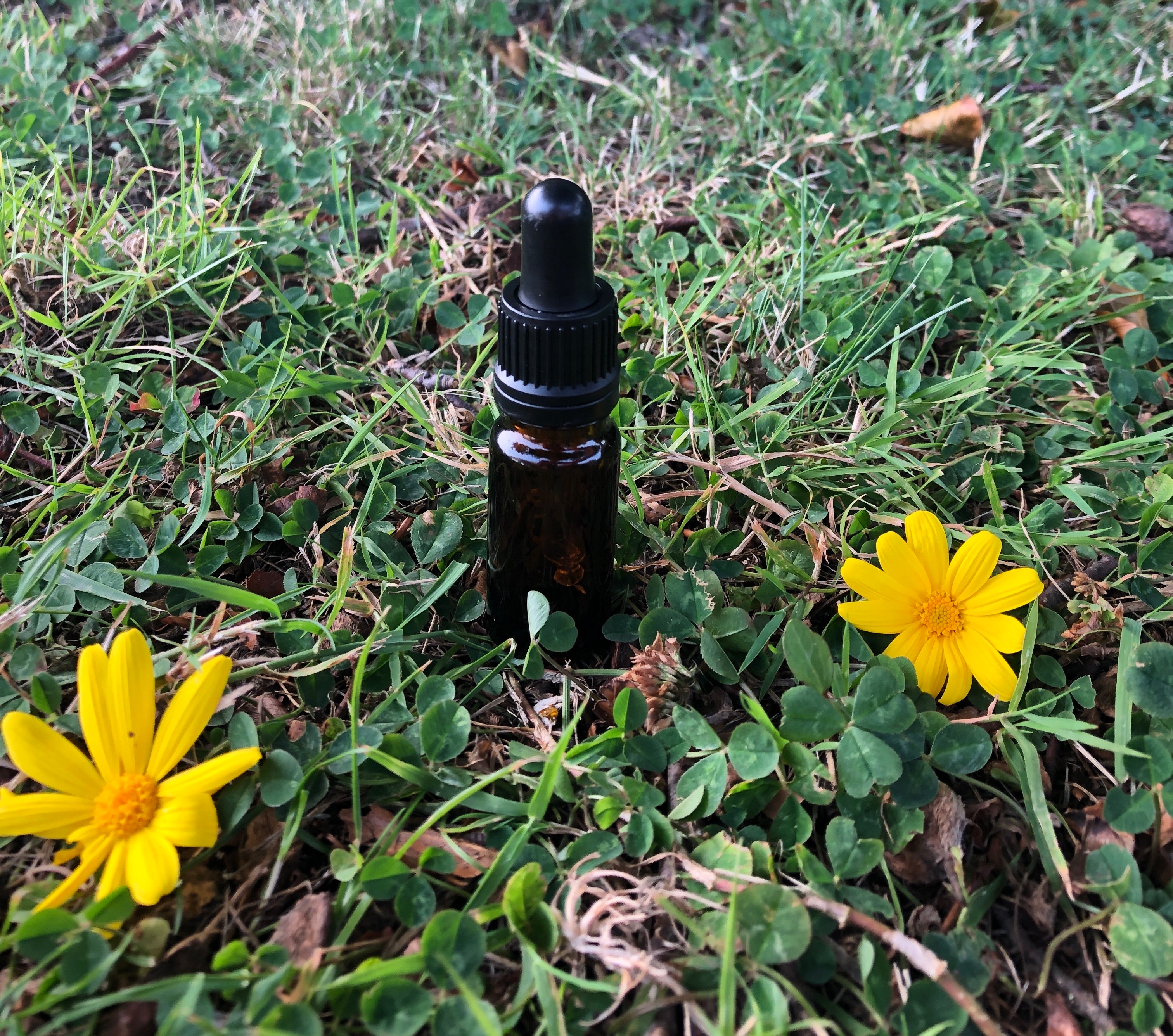 10ml Amber Glass Bottle (GL18)