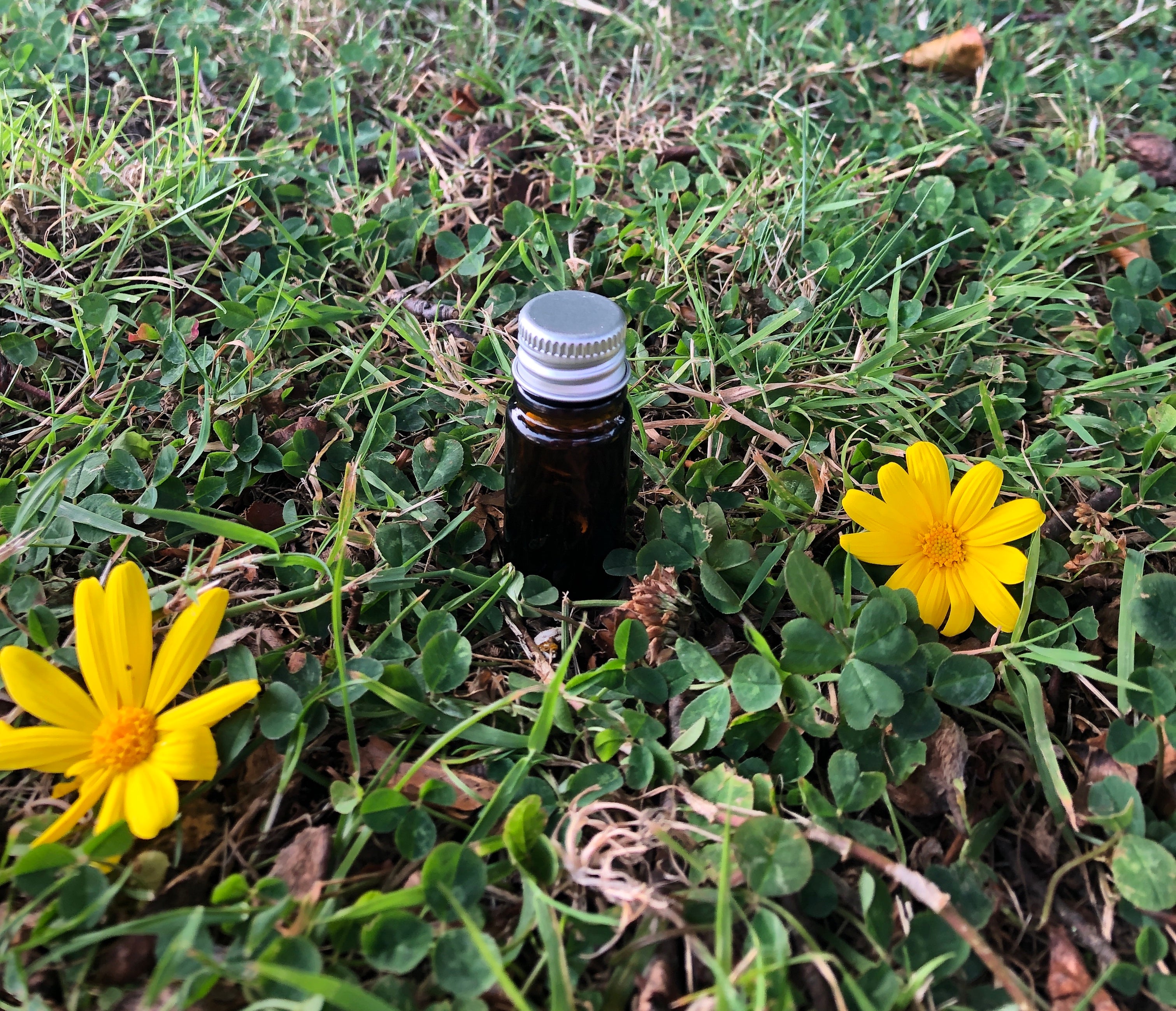 5ml Amber Glass Bottles (gl18)