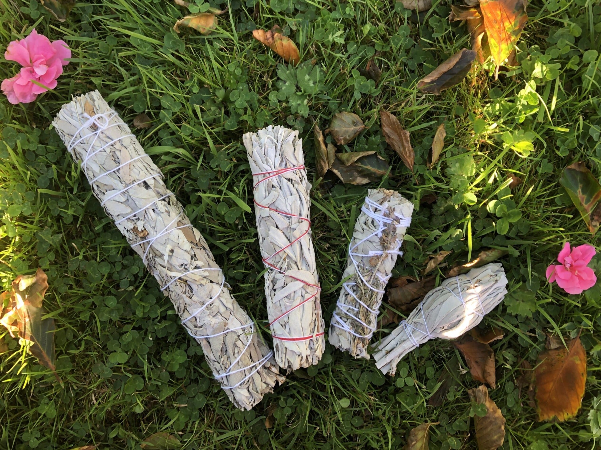 Sage (smudge) sticks