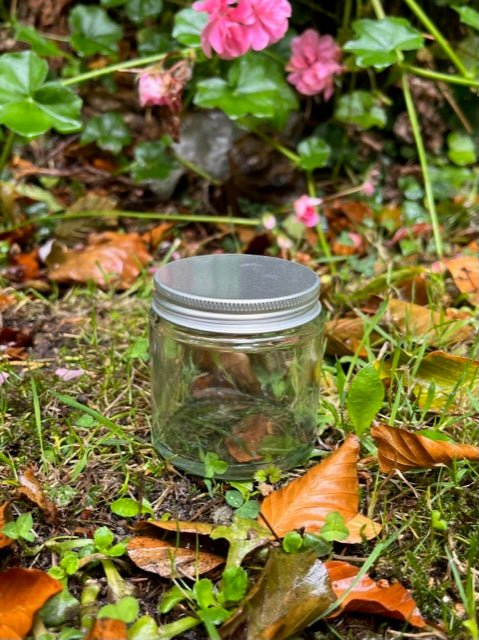 120 ml Clear Glass jars