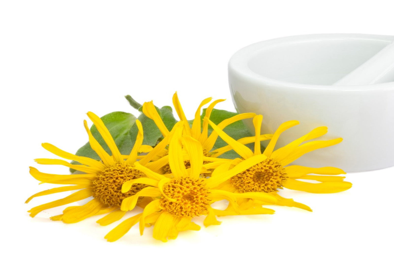 Arnica Gel