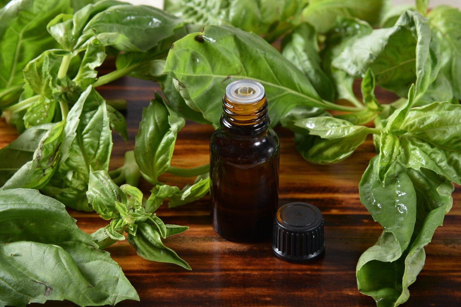 Basil Oil