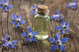 Borage Seed Oil