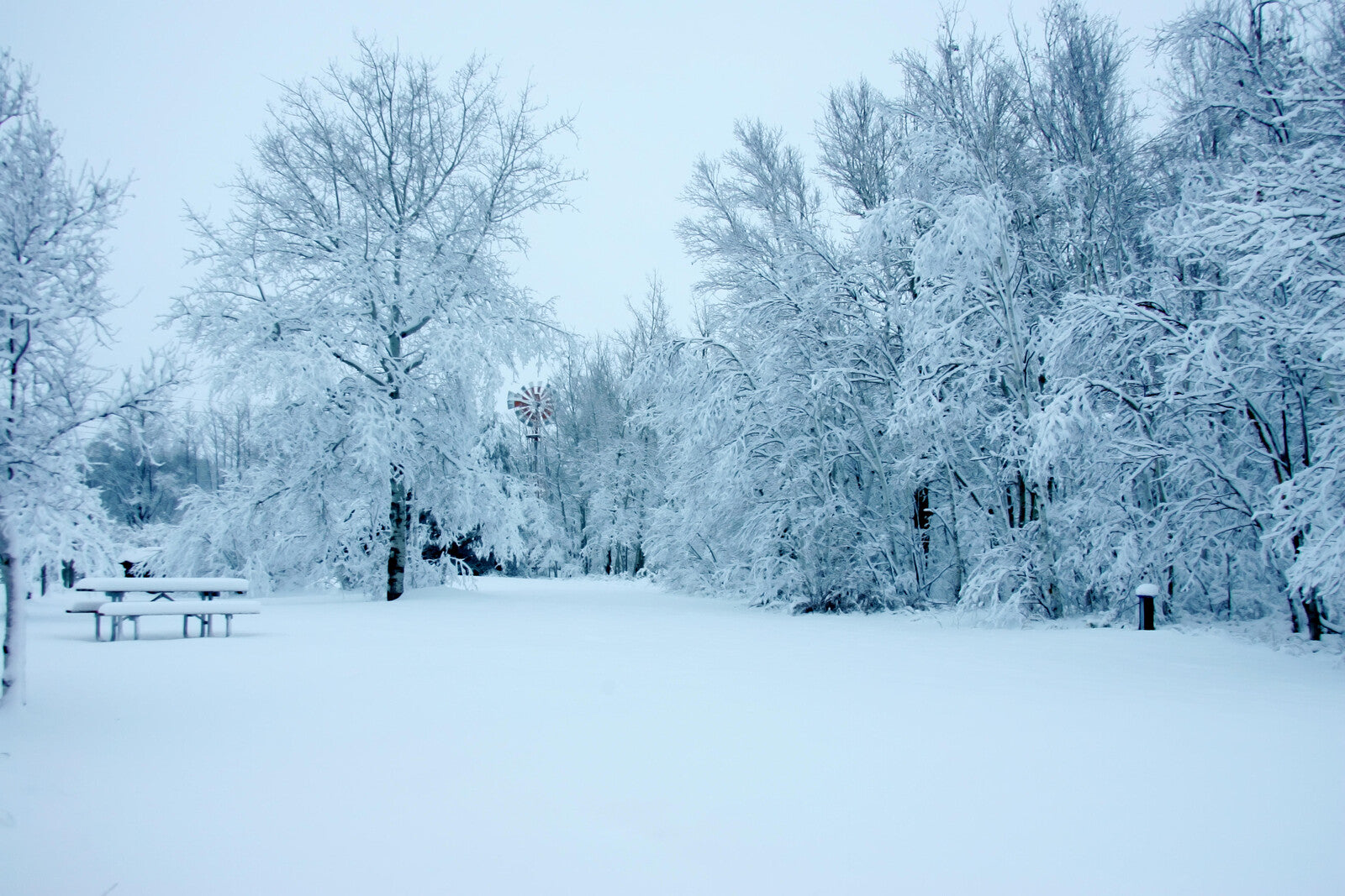 Candle, Diffuser & Soap Fragrance Snow Laden Serenity