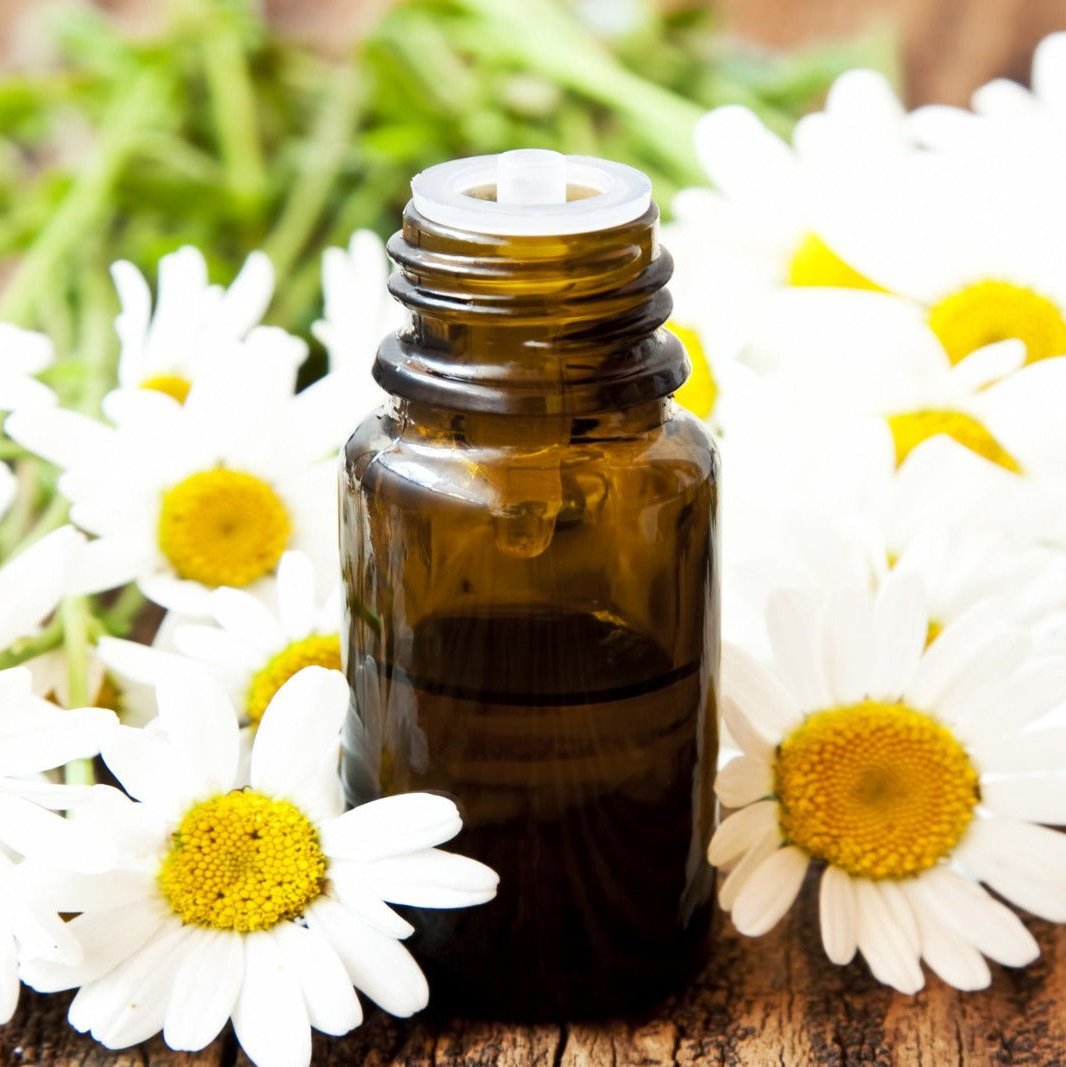 Chamomile Roman Organic- (Anthemis Nobilis)