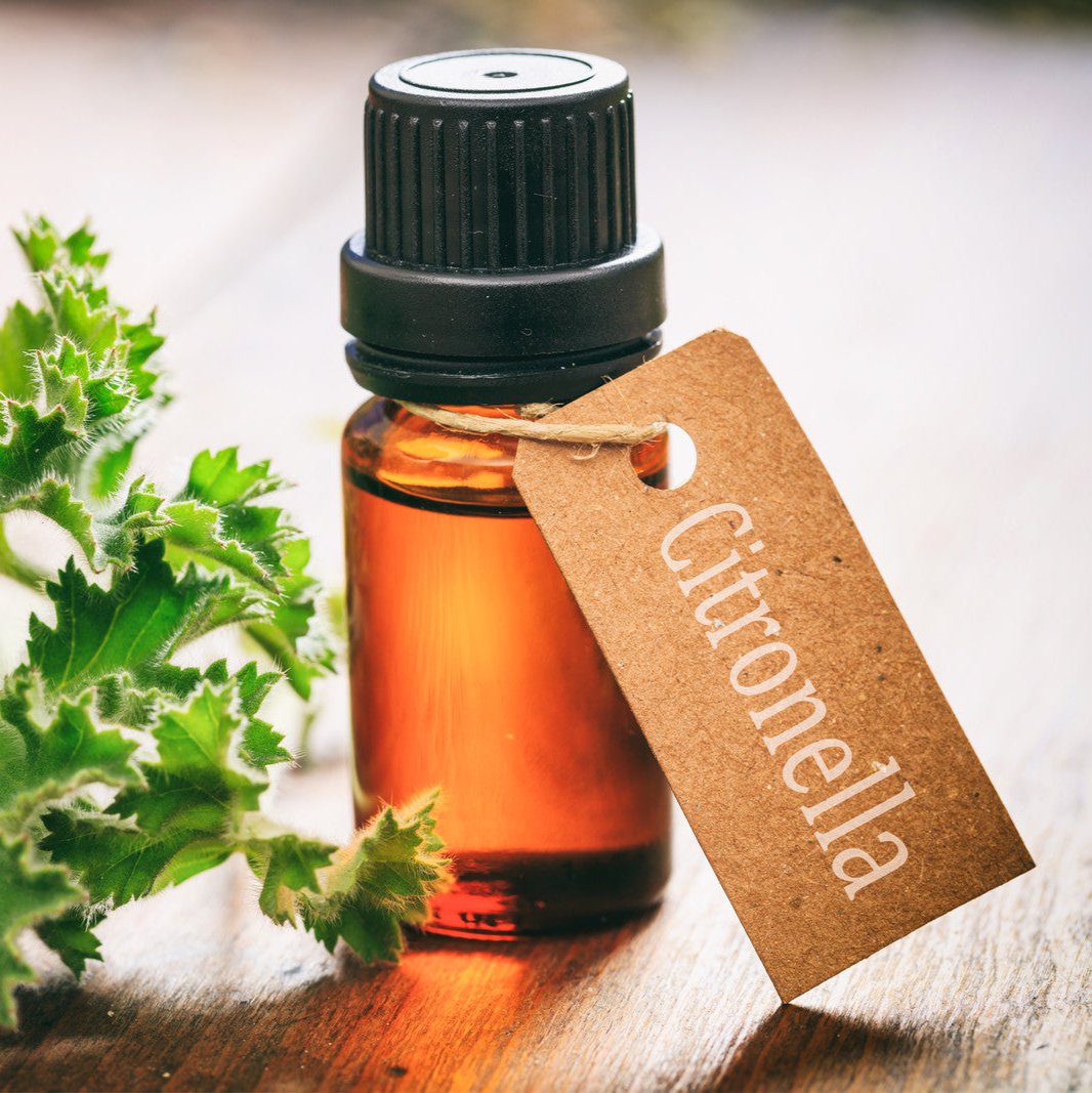 Citronella oil