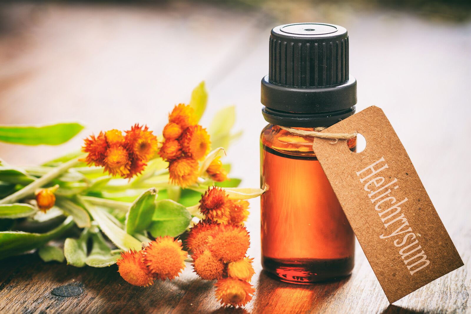 Helichrysum Oil