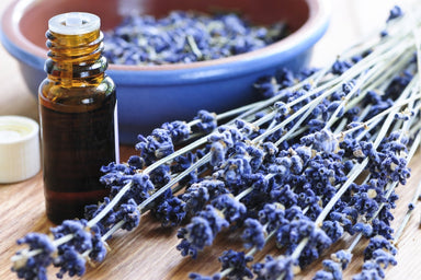 Lavender Oil ORGANIC