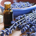 Lavender Oil