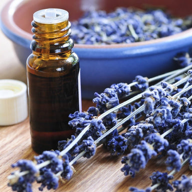 Lavender Oil (High Alps)