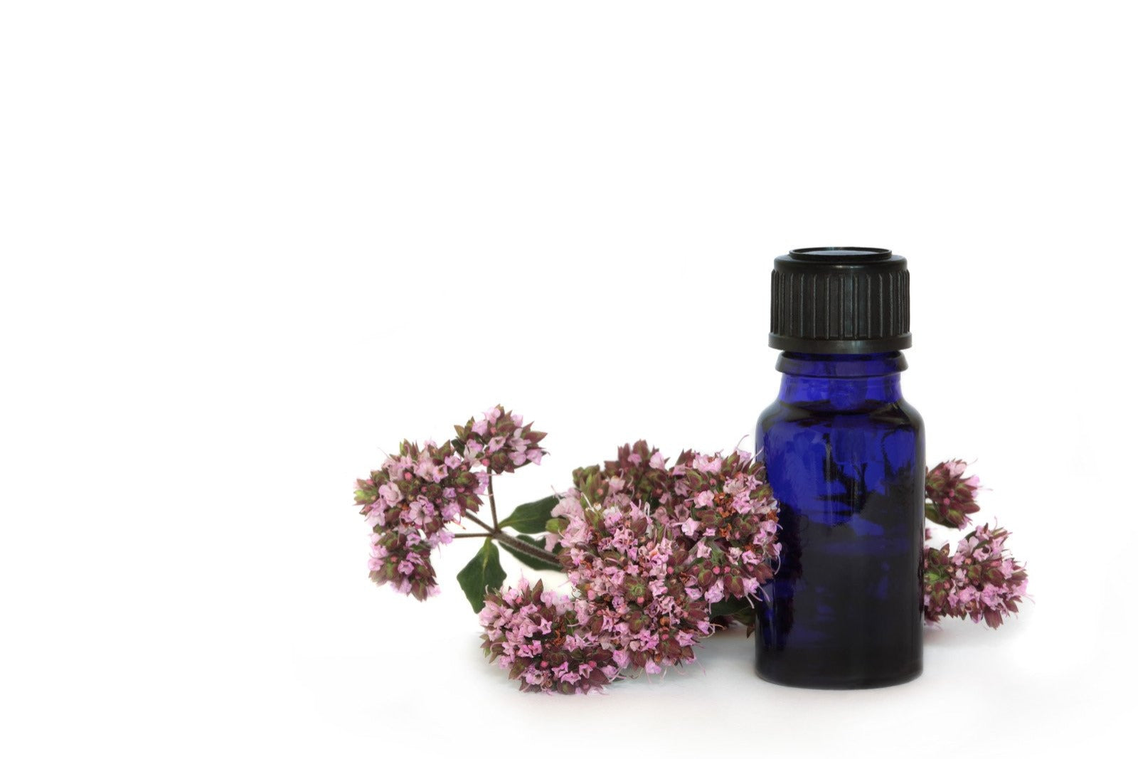 Marjoram Sweet ORGANIC 10ml