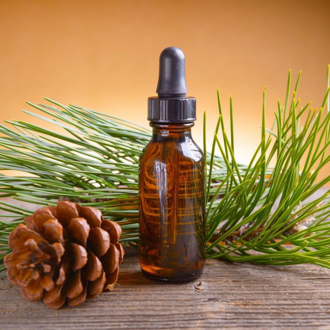 Spruce Oil 10ml