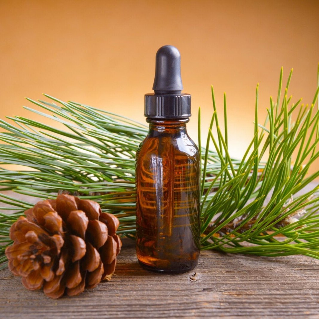 Pine Oil (Pinus Sylvestris)