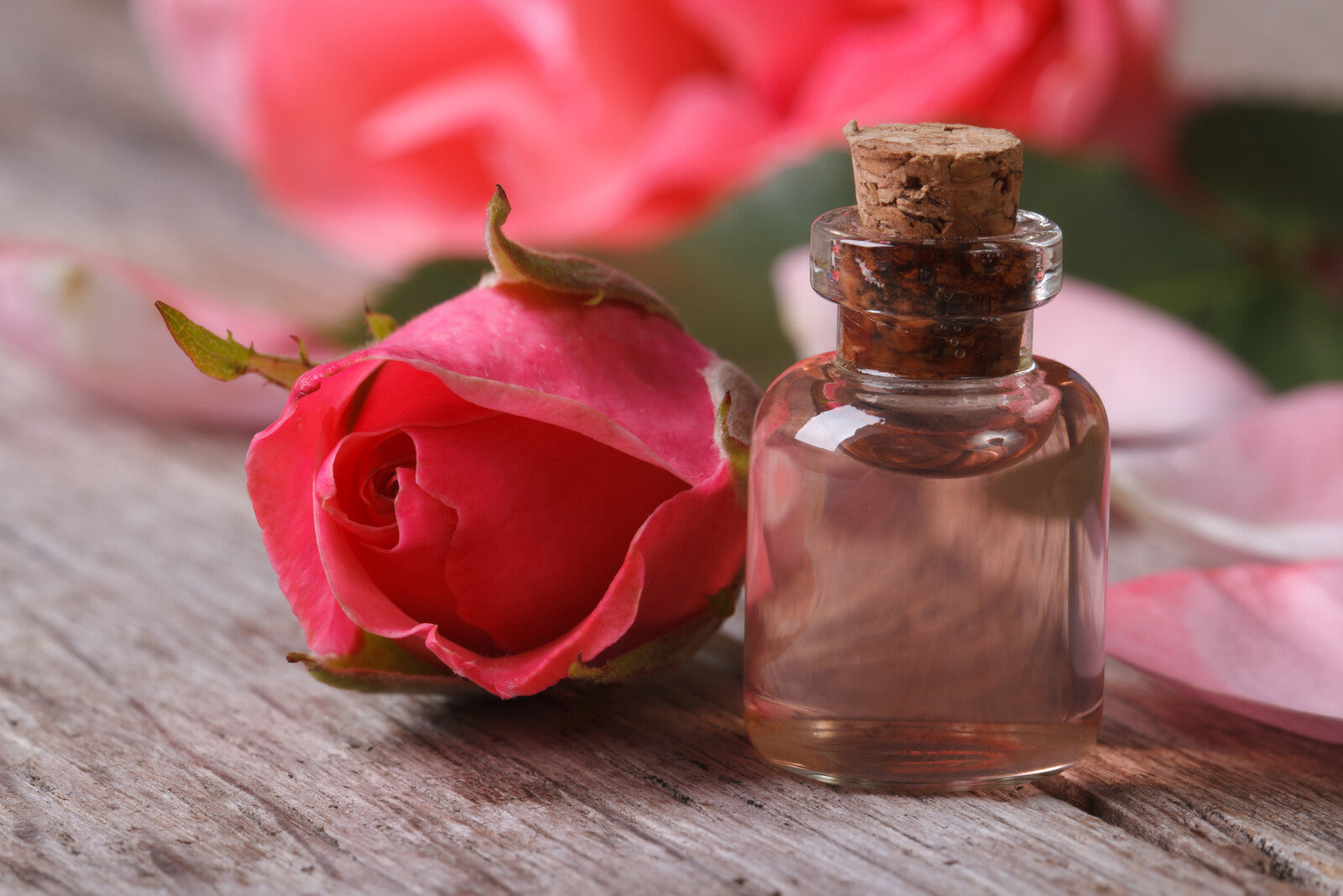 Rose Oil ABSOLUTE 10ml