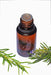 Rosemary Oil ORGANIC 10ml