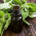 Sage Essential Oil