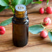 Wintergreen Oil